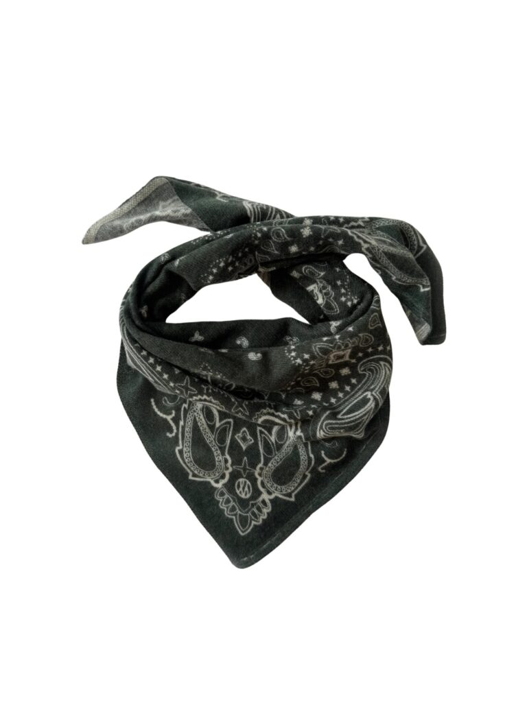 cashmere-paisley-forestgreen_1_3000x